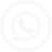 whatsappIcon