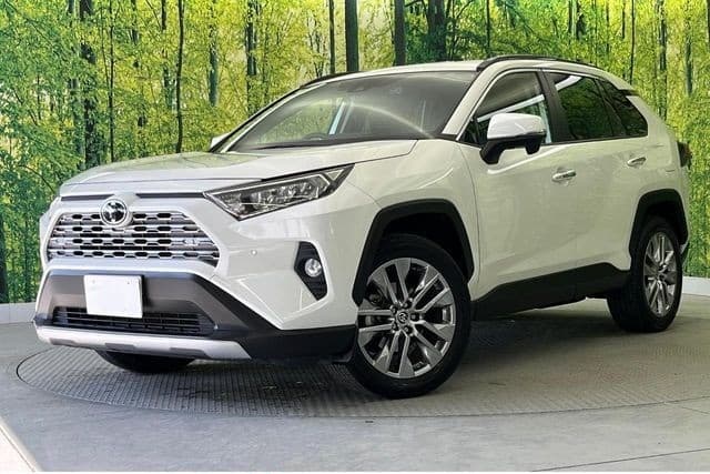 2020 TOYOTA RAV4 2.0 G Z PACKAGE