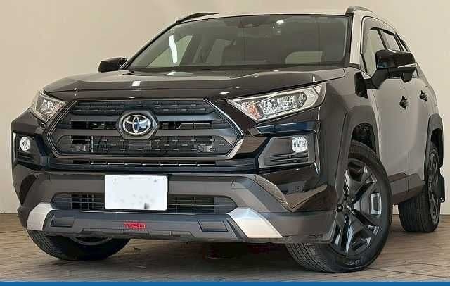 2019 TOYOTA RAV4 2.0